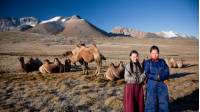 Local herders with their camels on the Mongolian steppe |  Cam Cope