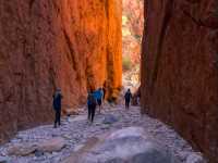 Hiking in Standley Chasm |  Luke Tscharke