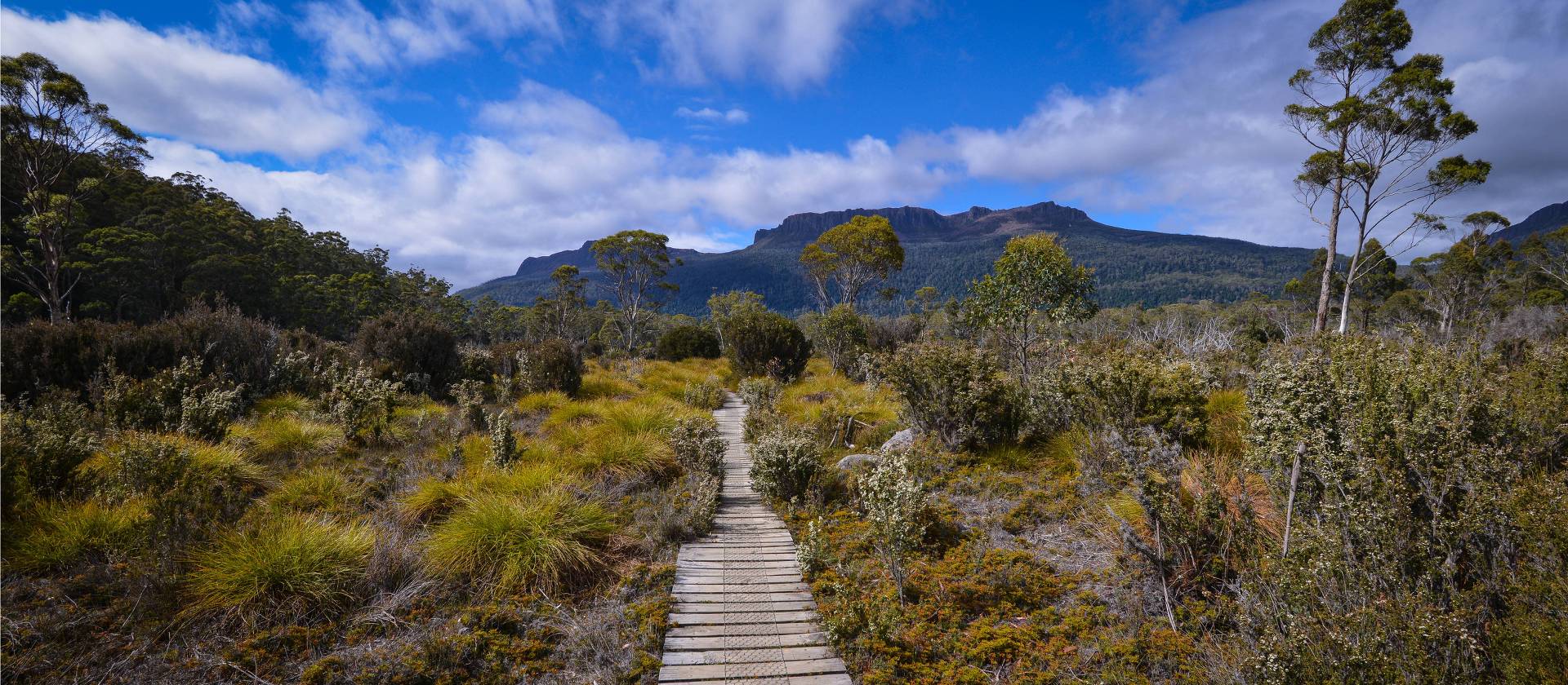 ACF Overland Track Challenge 2021