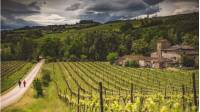 Walkers take in the typical Tuscan landscape on the Via Francigena |  Tim Charody