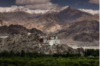 Spectacular views of Leh in the Indian Himalaya |  Richard I'Anson