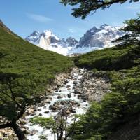 Verdant landscapes in French Valley, Patagonia | Kyle Super